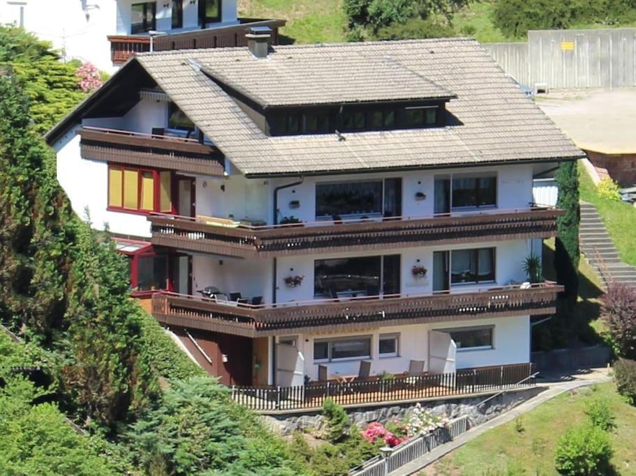 Ferienwohnung Schwarzwaldblick 바트리폴드사우샤프바흐 외부 사진