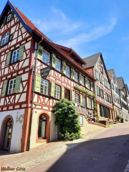 Ferienwohnung Schwarzwaldblick 바트리폴드사우샤프바흐 외부 사진