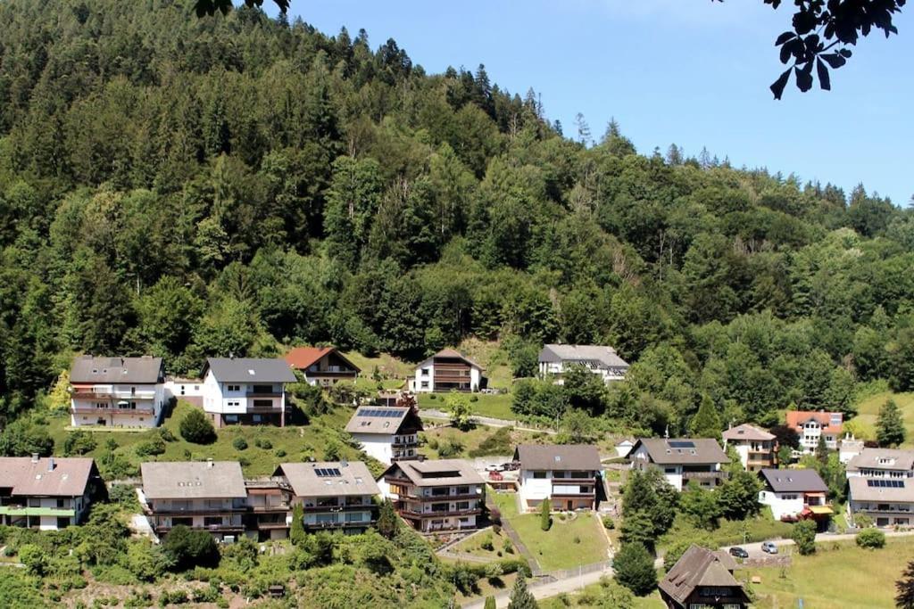 Ferienwohnung Schwarzwaldblick 바트리폴드사우샤프바흐 외부 사진