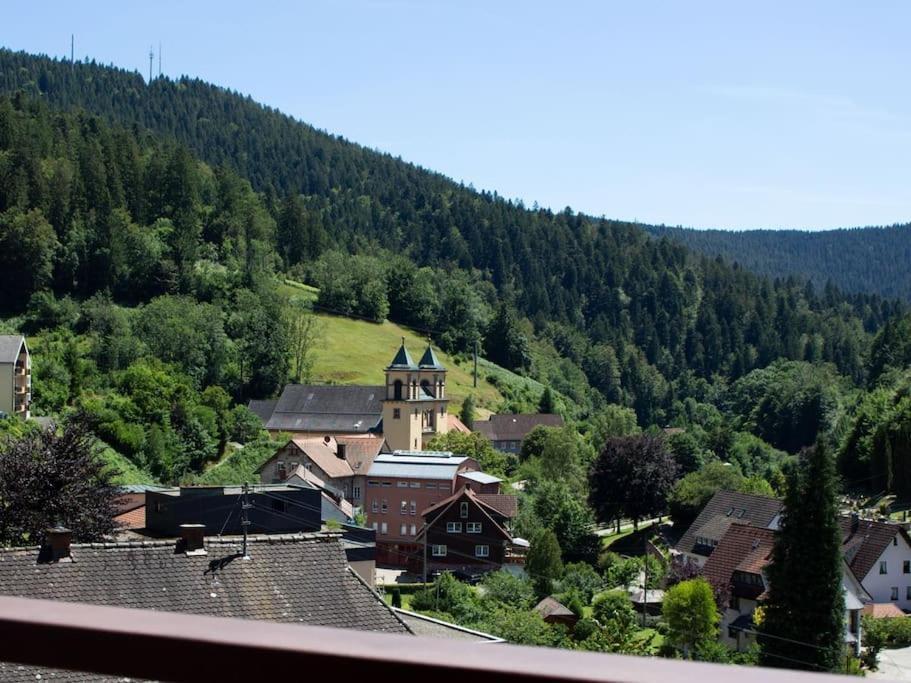 Ferienwohnung Schwarzwaldblick 바트리폴드사우샤프바흐 외부 사진