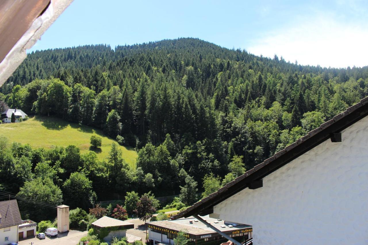 Ferienwohnung Schwarzwaldblick 바트리폴드사우샤프바흐 외부 사진